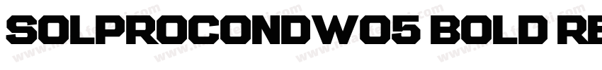 SolProCondW05 Bold Regular字体转换